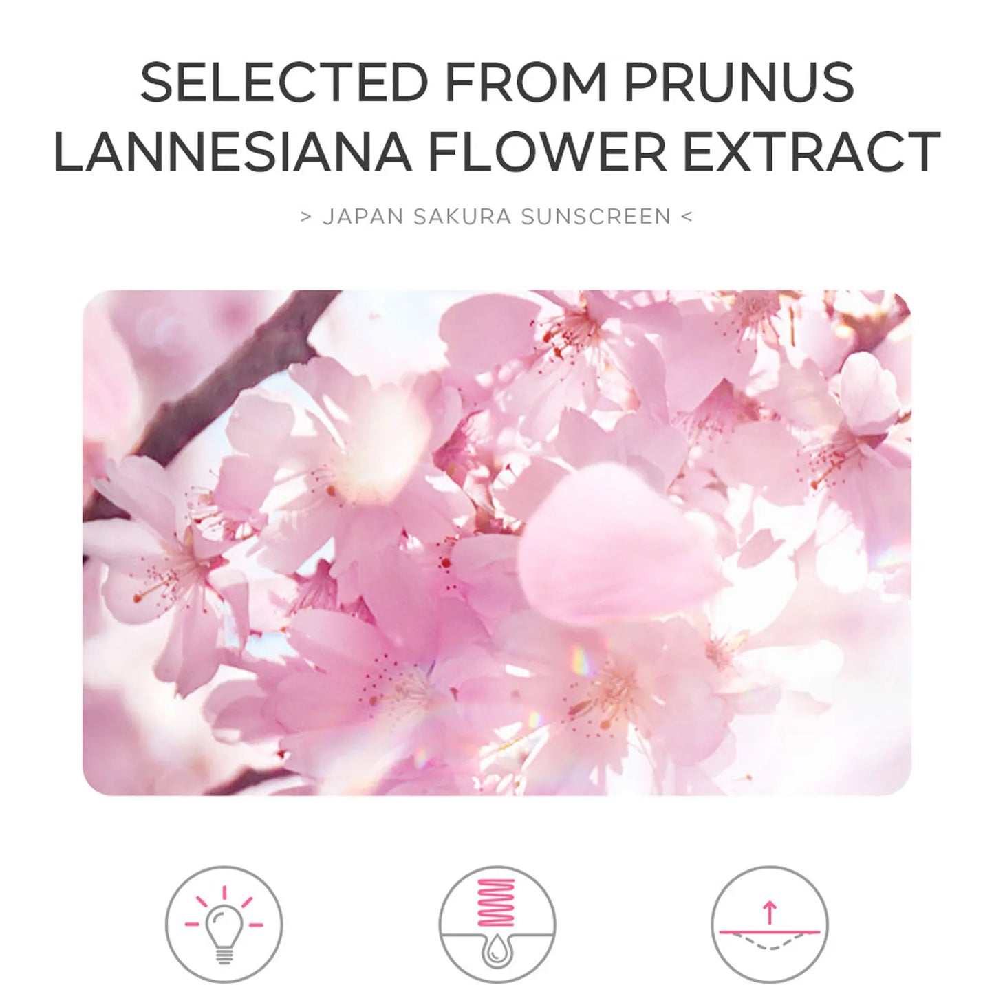 Sakura SPF50 Sunscreen Cream